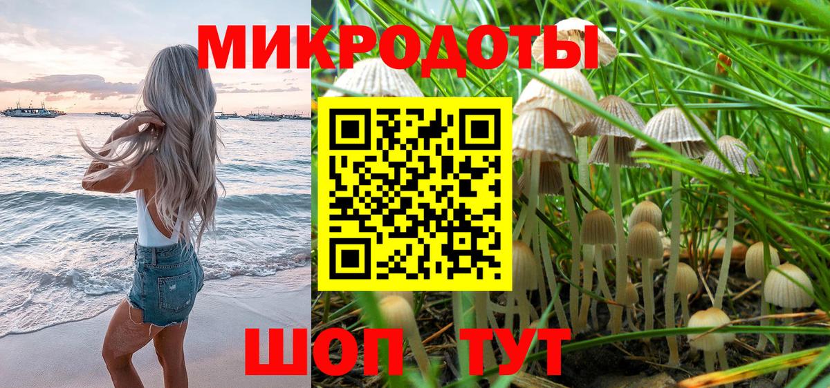 Галлюциногенные грибы GOLDEN TEACHER  Вход с VPN  Северобайкальск 